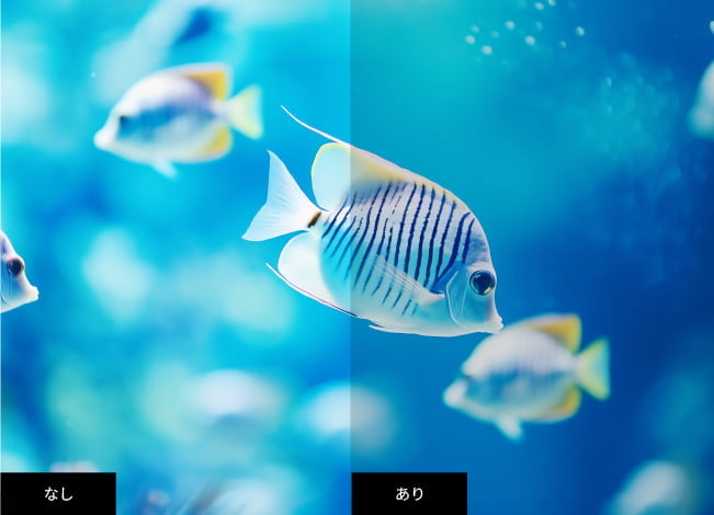 ブルーライトカットがあるモニターと通常モニターの比較画像